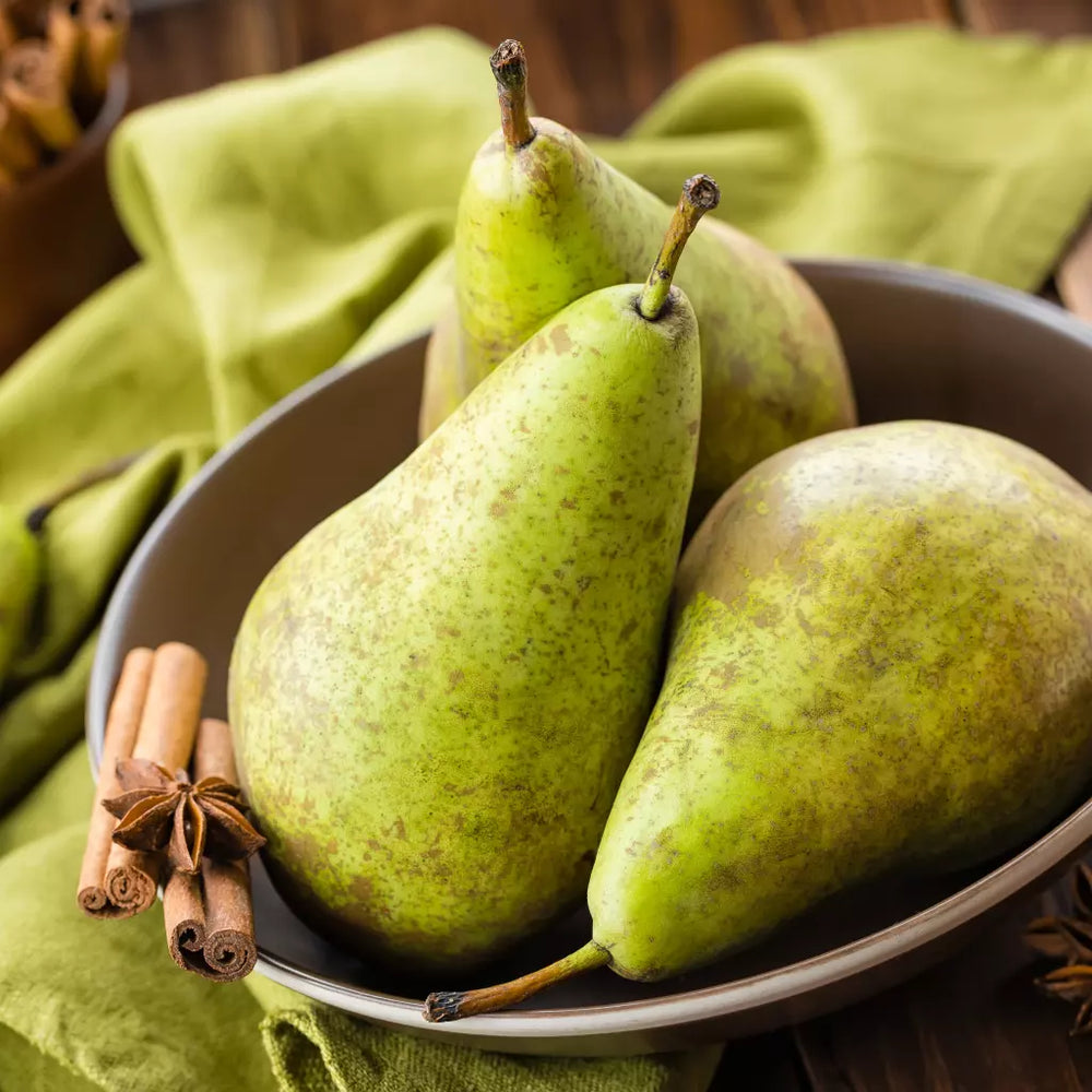 Pomi Fructiferi - Par Conference - Anul 2 - 1 buc