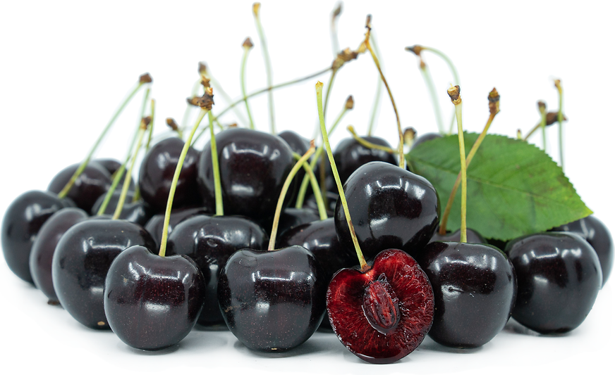 Pomi Fructiferi - Cires - Stella - Anul 2 - 1 buc