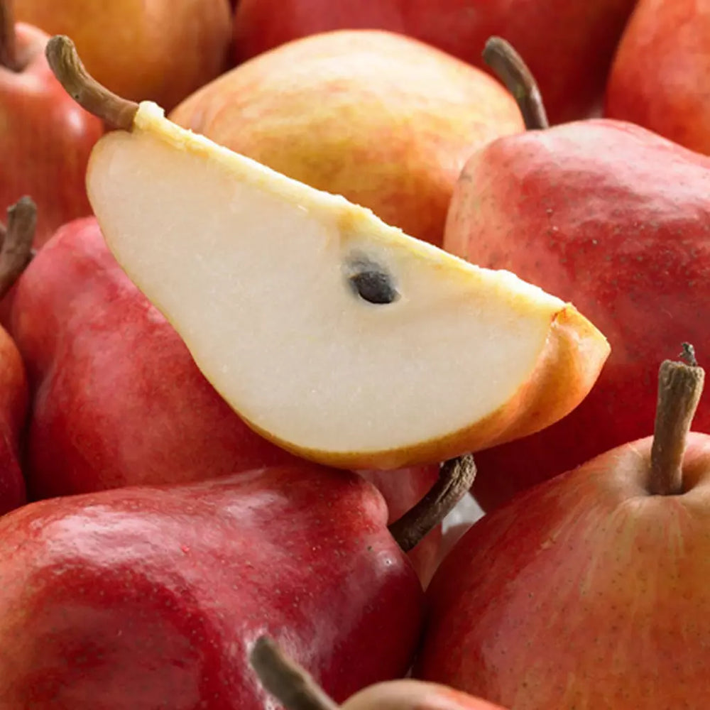 Pomi Fructiferi - Par - Williams - Rosu - Anul 2 - 1 buc