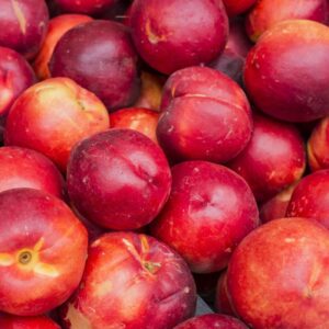 Pomi Fructiferi - Nectarin - Romamer - Anul 2 - 1 buc