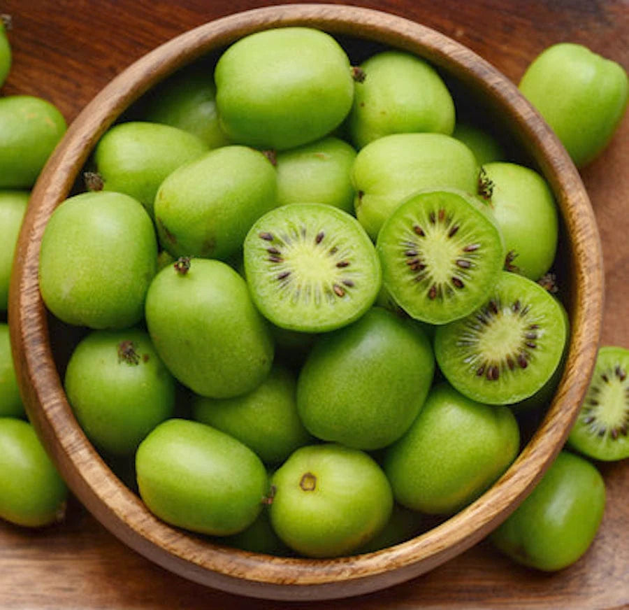 Pomi Fructiferi - Kiwi Issai - Actinidia Arguta Issai - Ghiveci - 1 buc