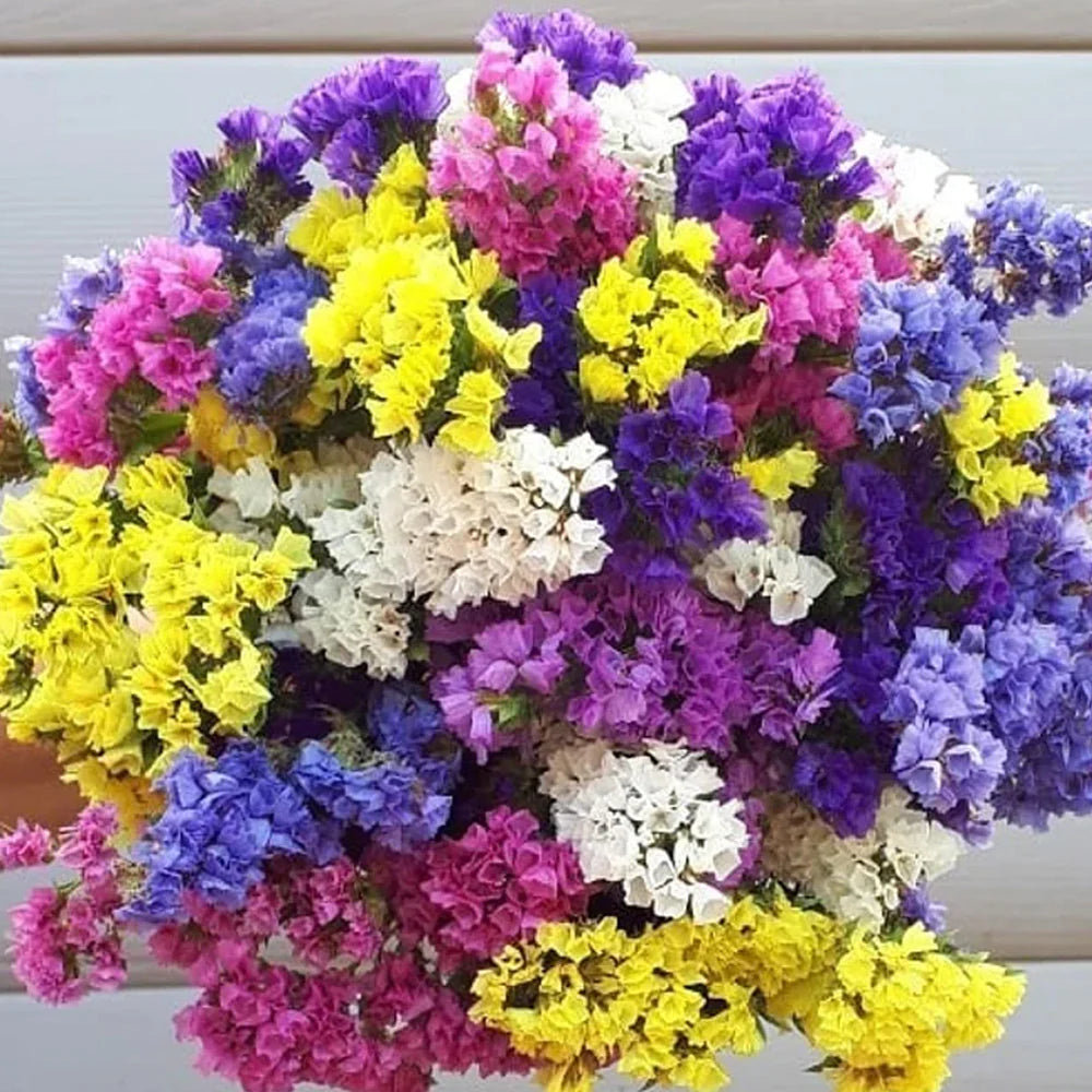 Seminte de Saraturica Melanj, 0.2 gr