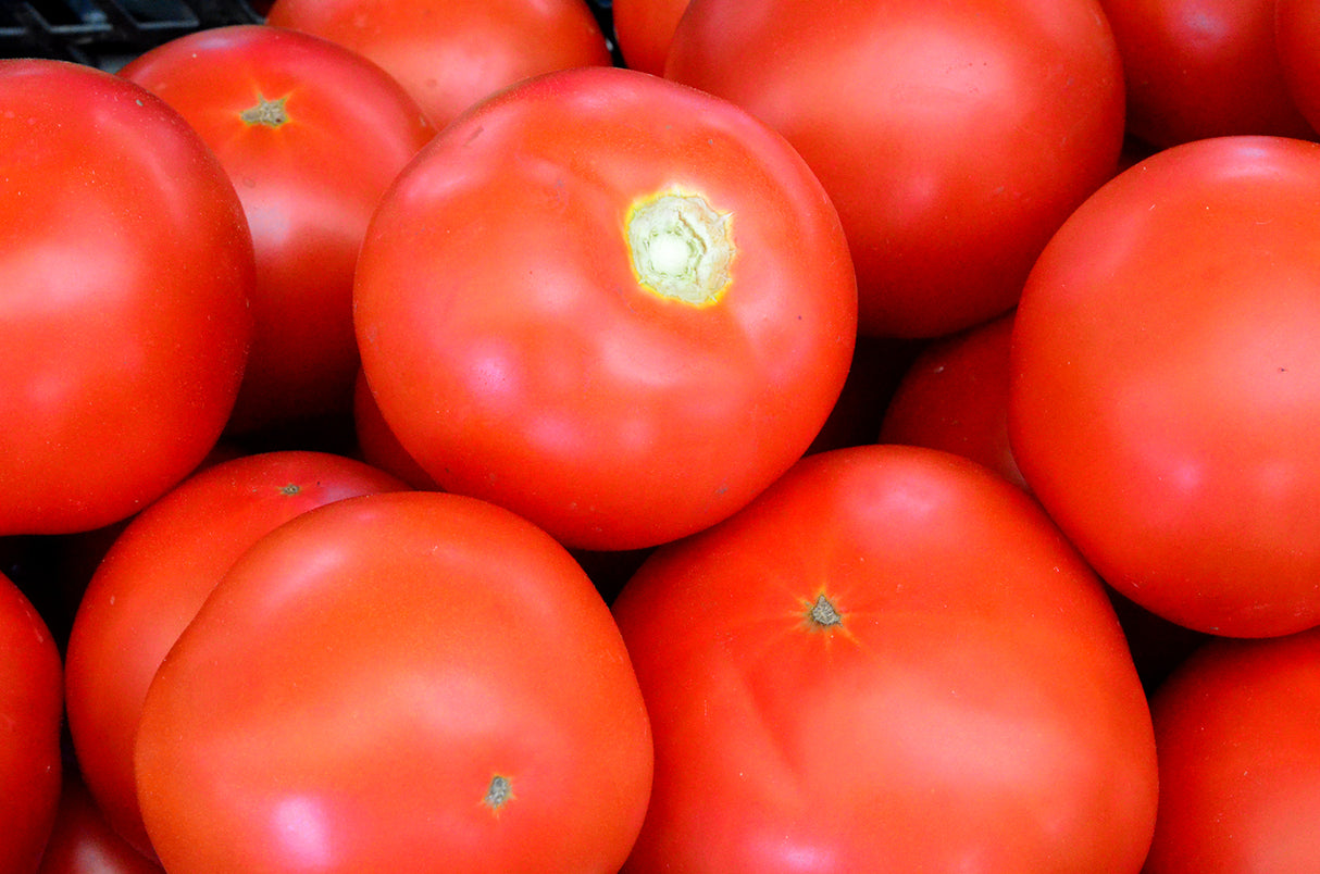 Seminte de Rosii Buzau 22 0,2g