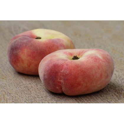 Pomi Fructiferi - Piersic - Viorel - Anul 2 - 1 buc