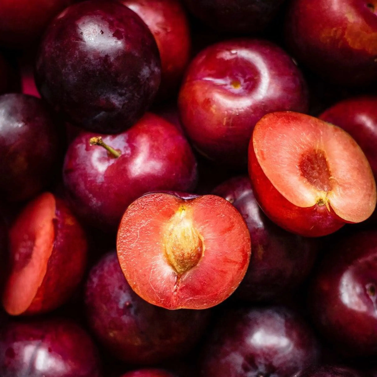 pomi fructiferi 1134