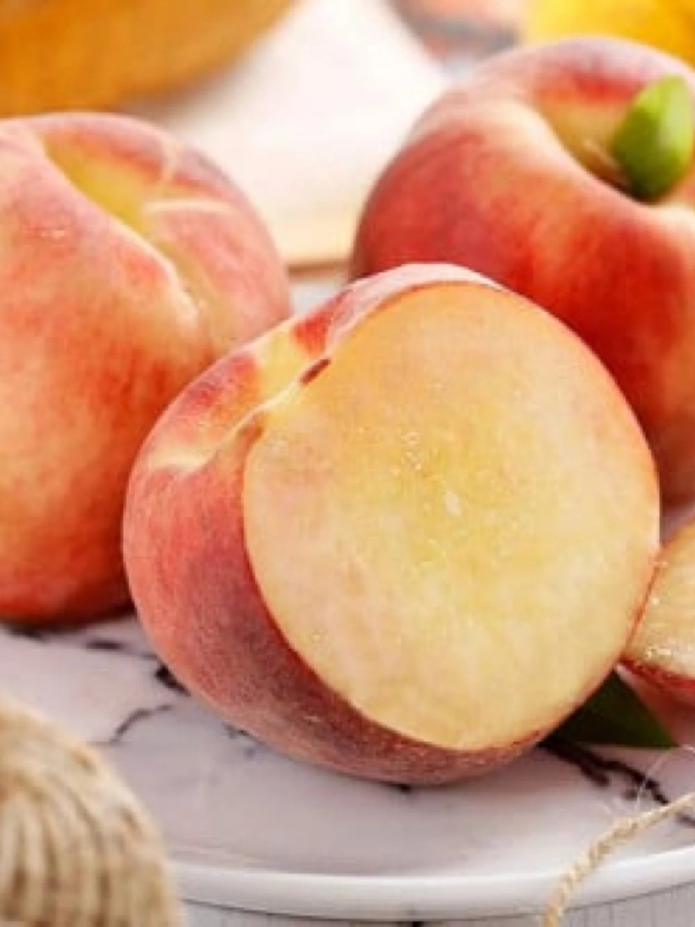 pomi fructiferi 1691