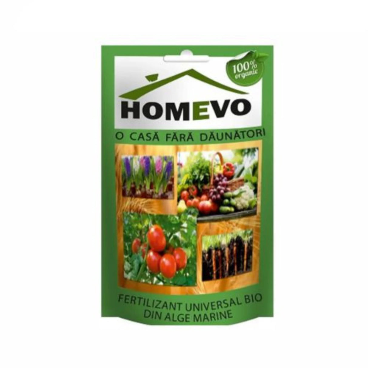 pomin fructiferi 1619