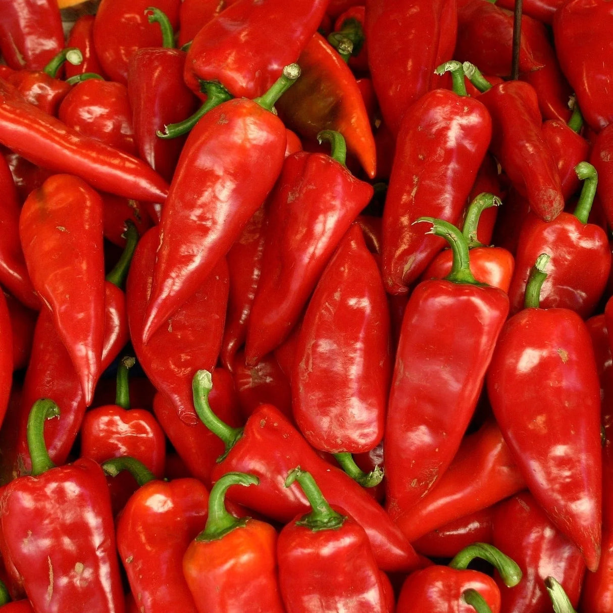 Seminte de Ardei Kapia "Cosmin", 0.3 gr