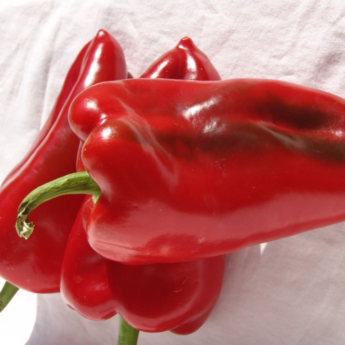 Seminte de Ardei Kapia "Ureche de Elefant", 0.4 gr