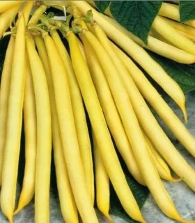 Seminte de Fasole Oloaga "Bergold", 100 gr