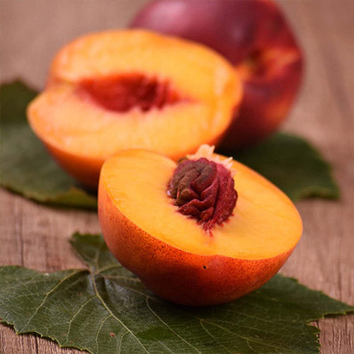 Pomi Fructiferi - Nectarin - Nectared - Anul 2 - 1 buc