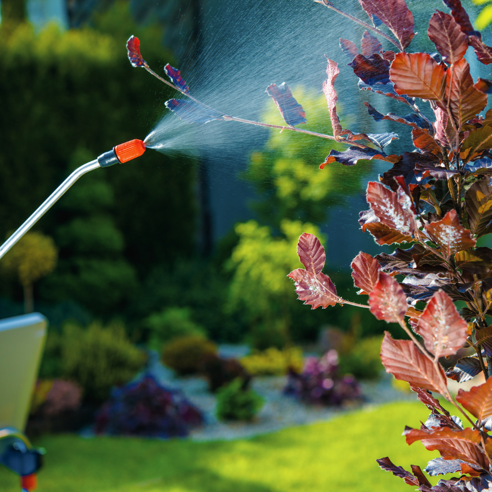 Produse Naturale Antidăunători