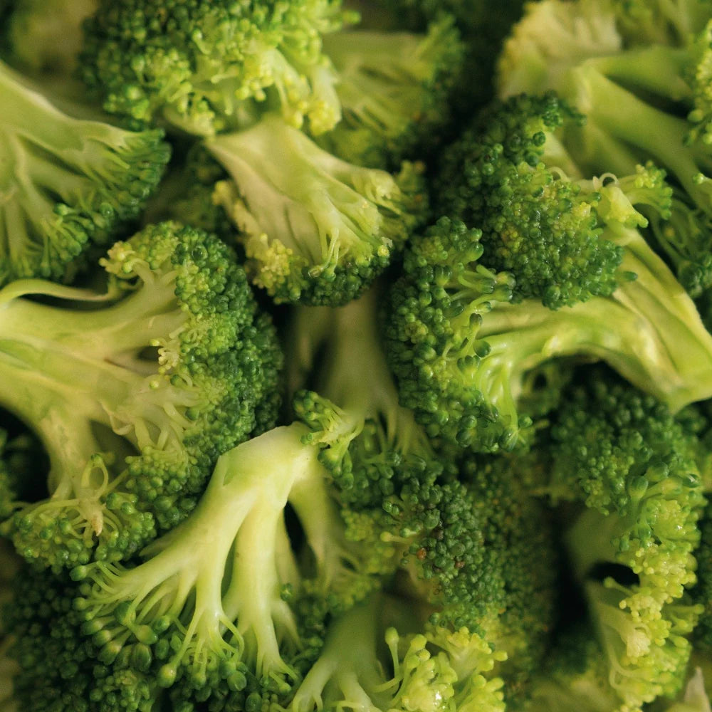 Semințe Broccoli