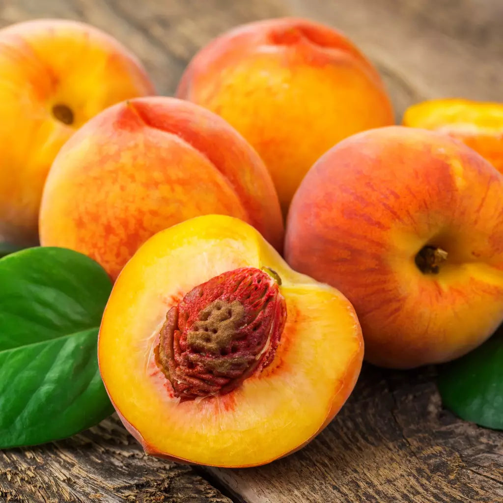 Piersic - Redhaven - Anul 3