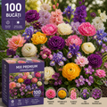 100 bulbi de primavara -Mix Garden Full