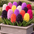7f1c5aa8-c7f7-4614-9979-5820f2aad3cf - Fitza Florilor