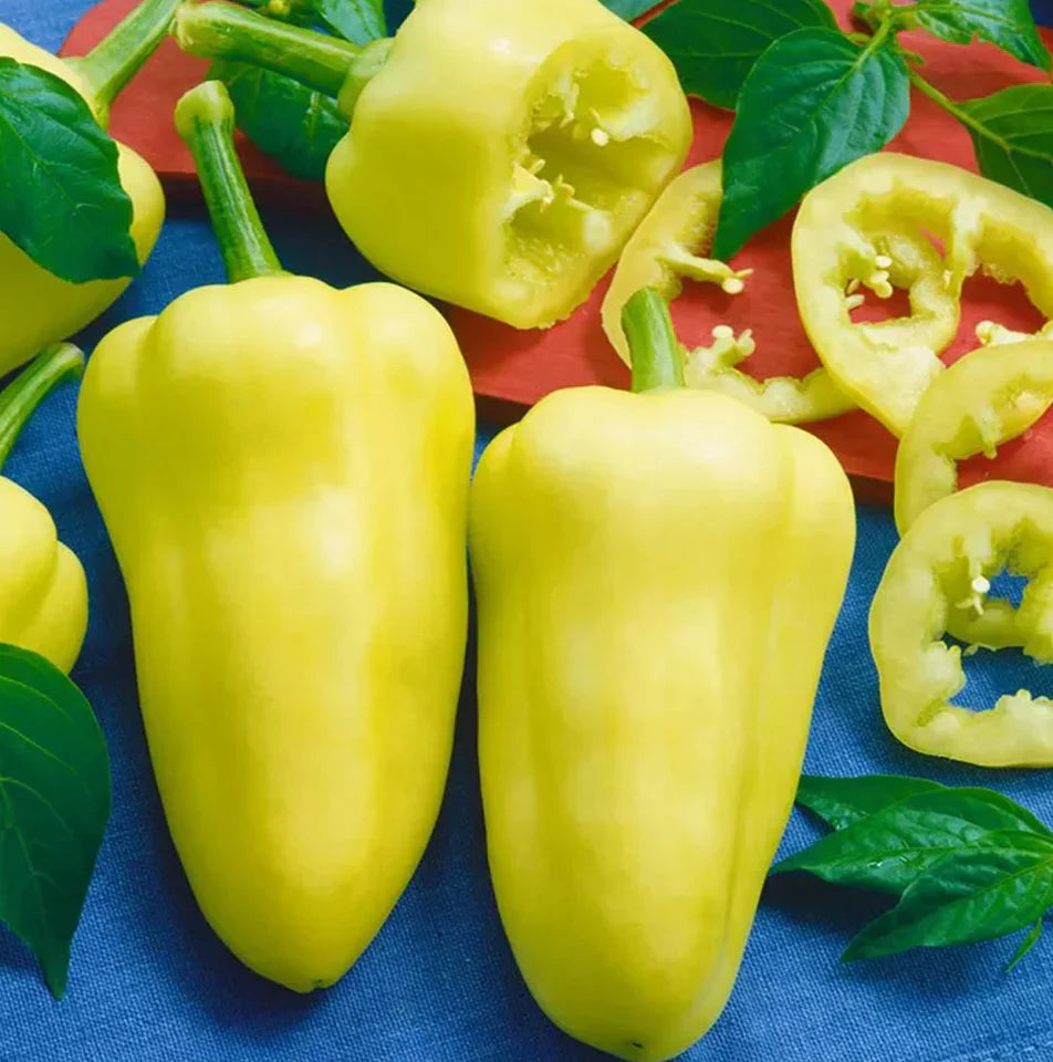 Semințe de Ardei Gras "Feher", 0.7g