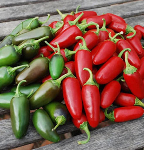 Semințe de Ardei Iute "Jalapeno", 0.7 gr