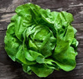 Semințe de Salată "Regina de Mai" , 3 gr