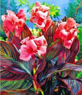 Canna-Pink-sunburst-260x300_4bb0816c-3fa4-468c-b69c-66a2c1629fd2 - Fitza Florilor