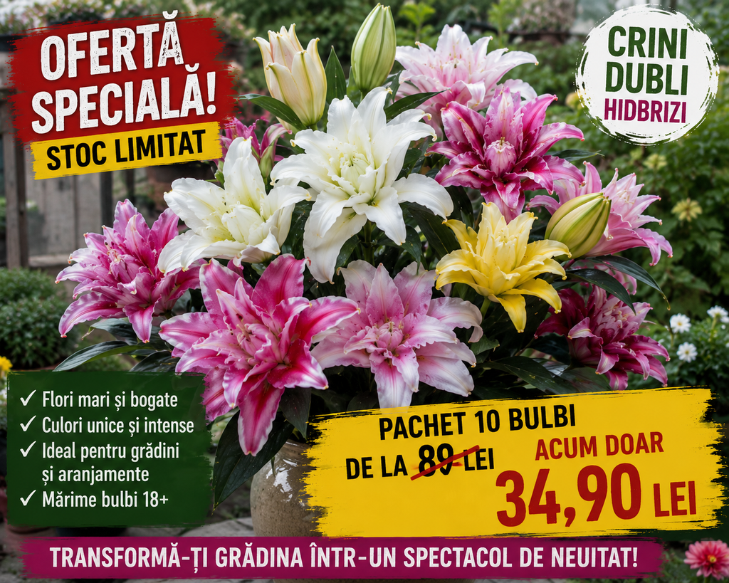 pachet de 10 crini hibrizi mix 2 la 34.90 redusi de la 89 de lei
