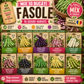 MIX Semințe Fasole 10 Bucăți