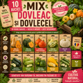 Pachet 10 Semințe Dovlecel și Dovleac