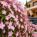 ChatGPT_Image_Jul_6_2026_02_47_19_PM_4b82a820-a0ac-4fe8-b525-426fe3646685 - Fitza Florilor