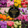 Bulbi Lalele Franjurate Fancy Pachet 50 buc