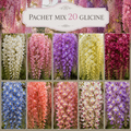 Pachet Special 20 Glicine de Poveste