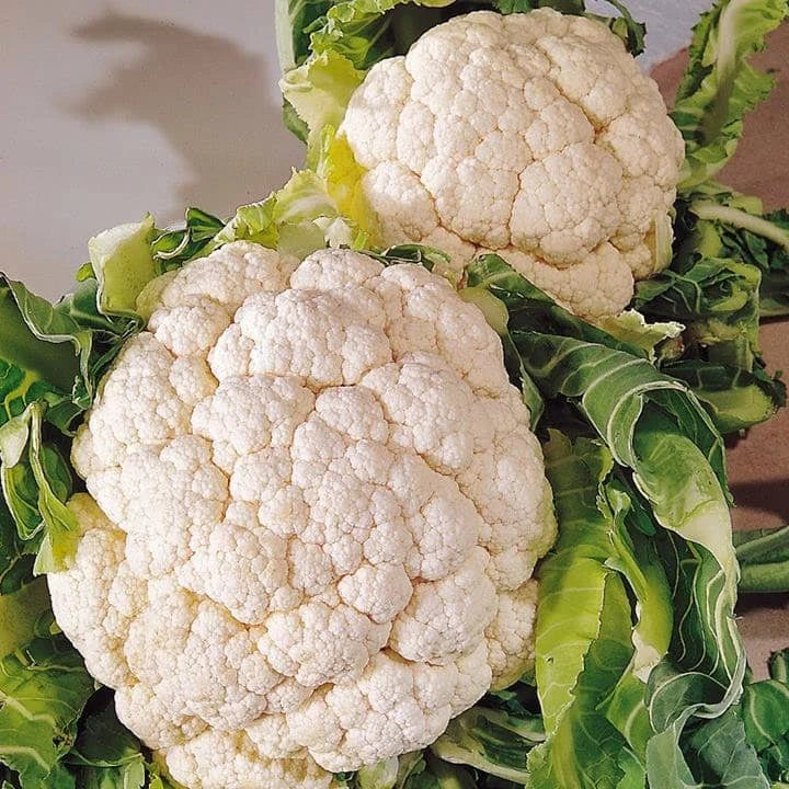 Semințe de Conopidă "Snowball" , 1g