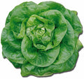 Semințe de Salată "S.Anna", 3 gr