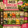 Pachet_mix_cu_10_semin_e_de_dovleac1 - Fitza Florilor