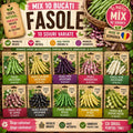 Pachet_mix_cu_10_semin_e_de_fasole - Fitza Florilor