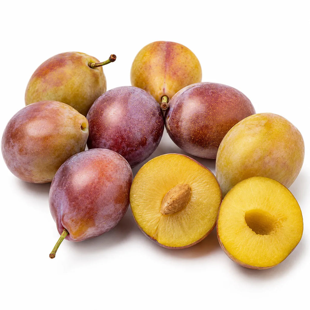 Prun D'Agen, pom fructifer altoit cu fructe de calitate premium, pulpa galben-verzuie si gust dulce, potrivit pentru gradini familiale, livezi si recolte bogate de toamna.
