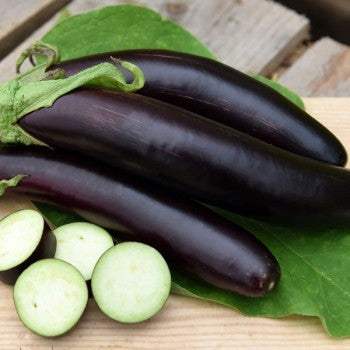 Semințe de Vinete "Early Long Purple", 2g