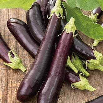 Semințe de Vinete "Early Long Purple", 2g