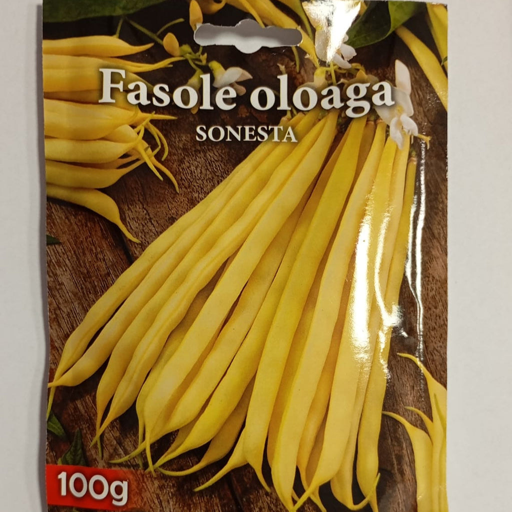 Fasole Oloaga Sonesta, 100 g
