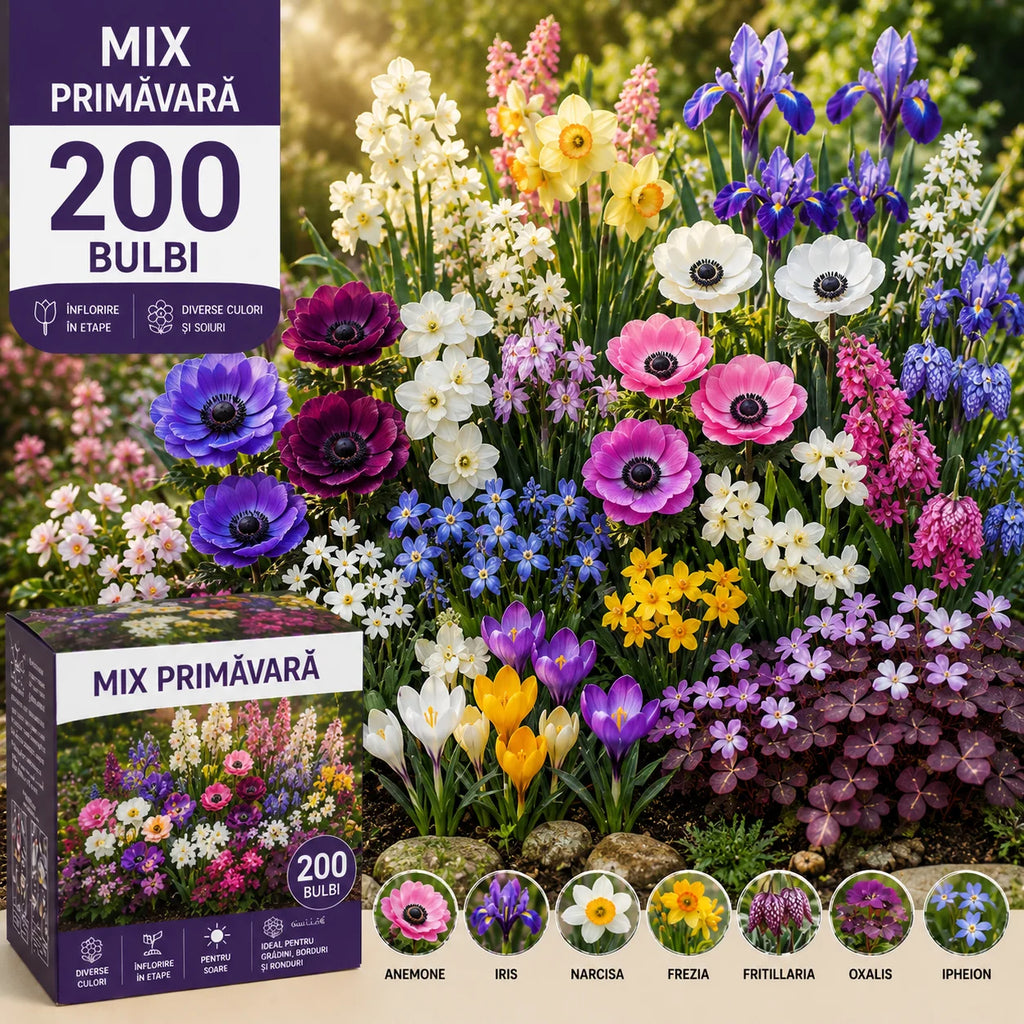 Spectacol Floral Mix 200 Bulbi, colecție variată de bulbi cu flori în culori și forme diverse, ideală pentru grădini, borduri și ronduri, oferind înflorire eșalonată și un decor floral spectaculos pe tot sezonul.