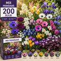 Spectacol Floral Mix 200 Bulbi, colecție variată de bulbi cu flori în culori și forme diverse, ideală pentru grădini, borduri și ronduri, oferind înflorire eșalonată și un decor floral spectaculos pe tot sezonul.