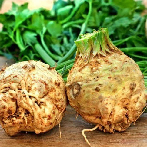 Semințe de Țelină de Rădăcină "Giant Prague", 2 gr