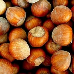 Alun  Cozia - Pomi Fructiferi