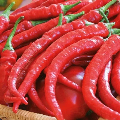 Semințe de Ardei Iute "Cayenna", 0.7 gr