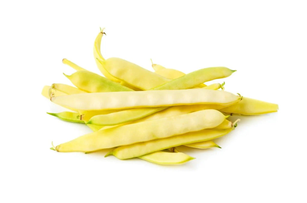 Semințe de Fasole Oloagă "Supernano Yellow", 15 gr
