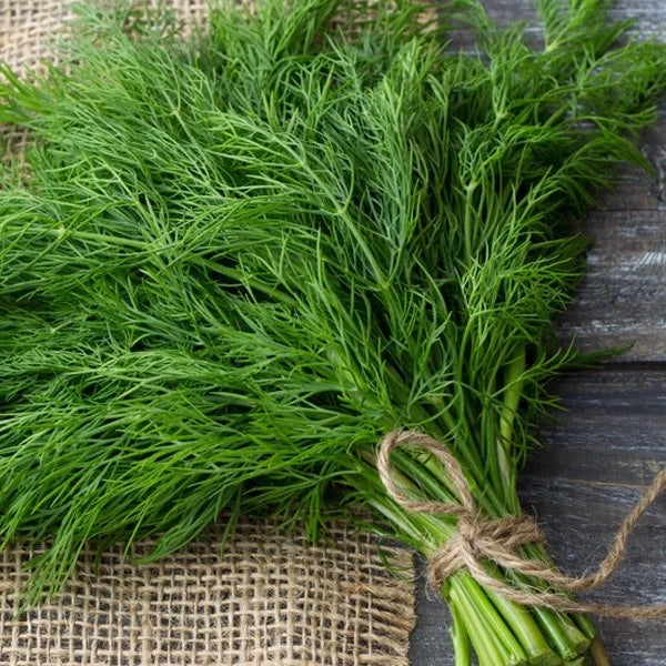 Semințe de Mărar , 2g