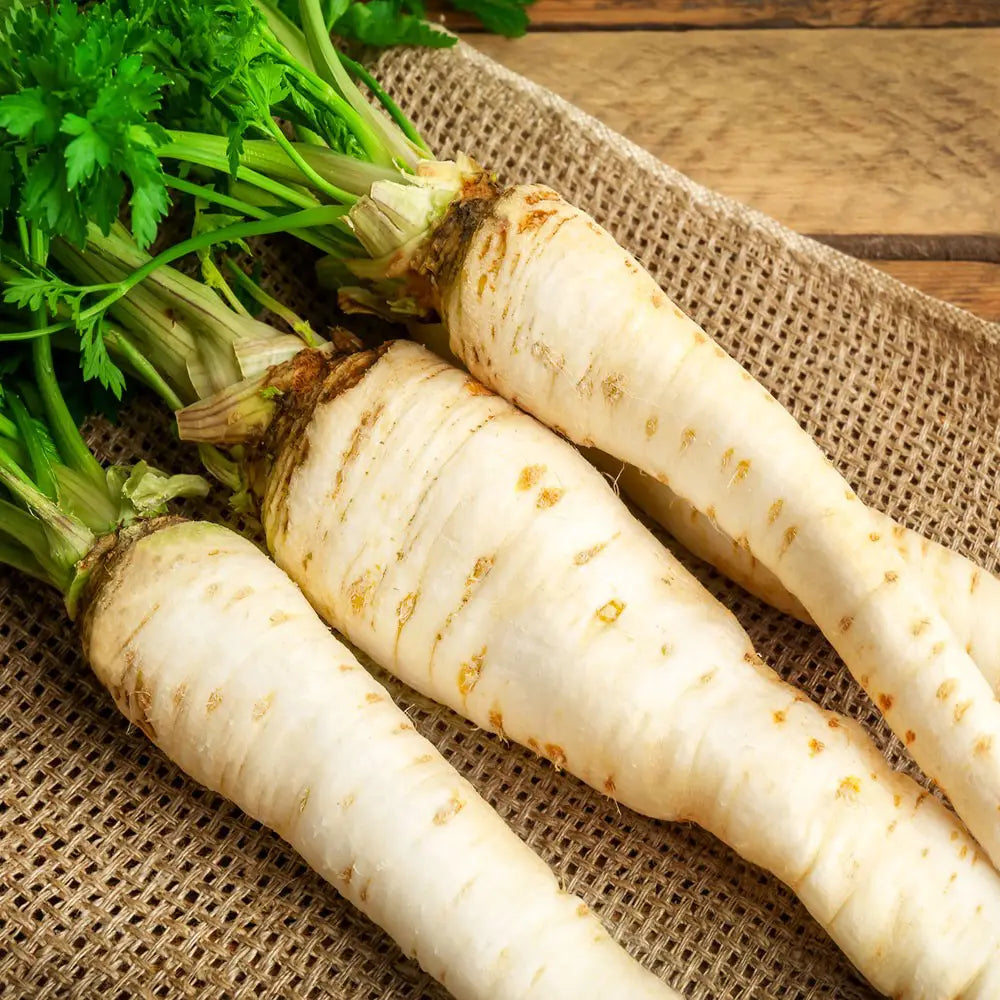 Semințe de Pătrunjel Rădăcină "Bardowicher" , 50g