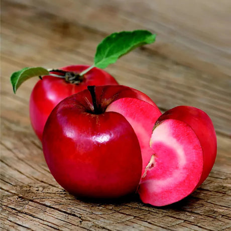 pomi fructiferi 1061