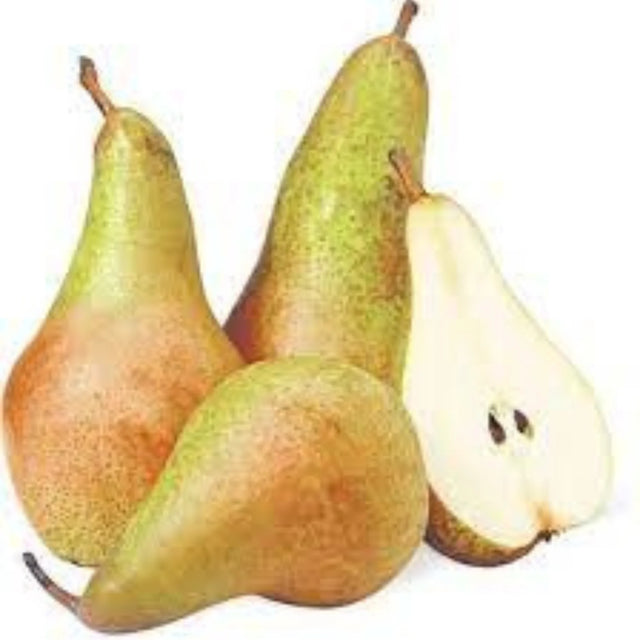 pomi fructiferi 1667