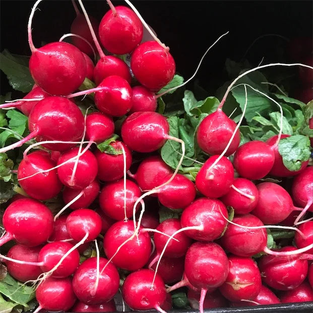 Semințe de Ridichi de Luna "Cherry Belle", 6g