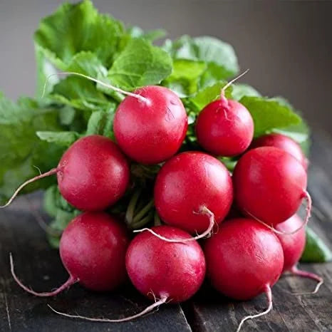 Seminte de Ridichi de Luna "Riesenbutter", 6g